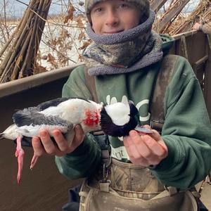 Meet your Posher, Nolan